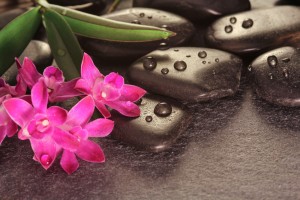 Pink flowers and Stones