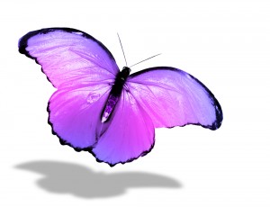 Hynotherapy Haslemere Butterfly lr